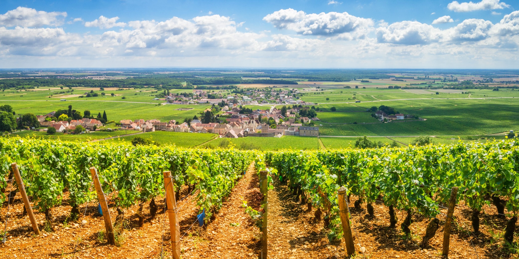 Borgogna-Franca Contea